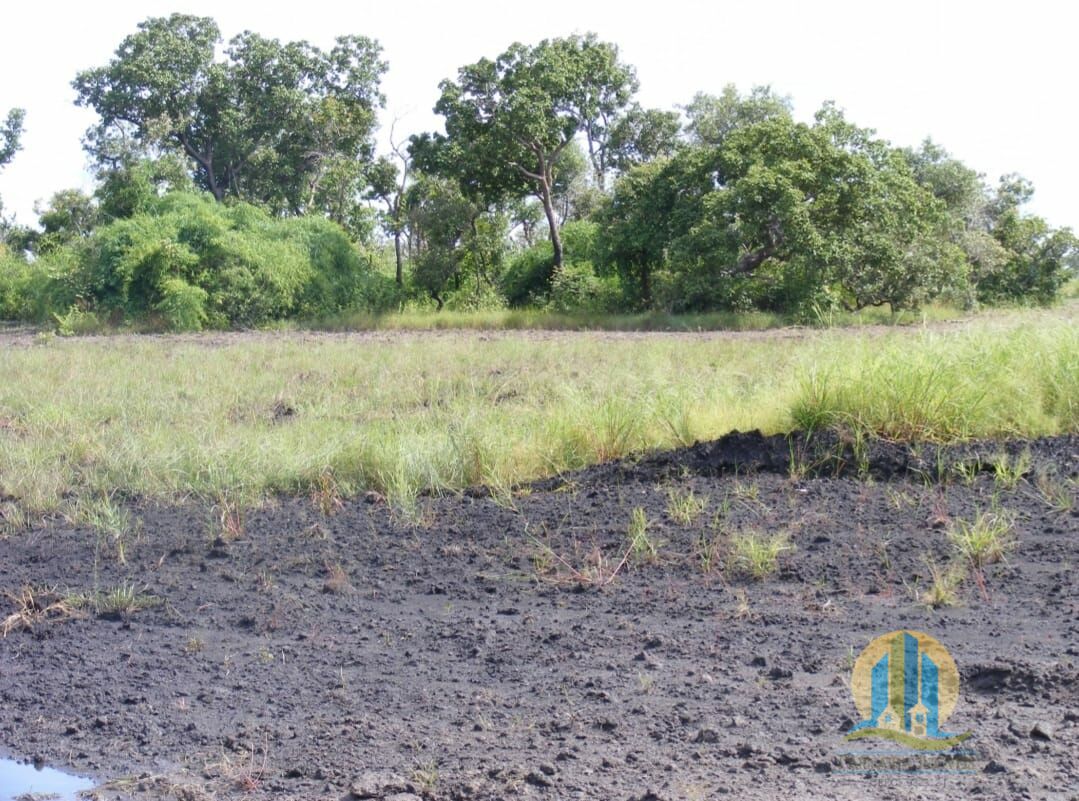 Fazenda em Cocalinho/Mato Grosso — Ref 2DIEE1 — Imagem 6