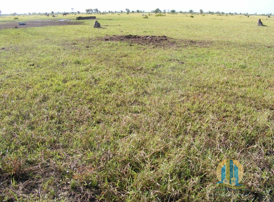 Fazenda em Cocalinho/Mato Grosso — Ref 2DIEE1 — Imagem 8
