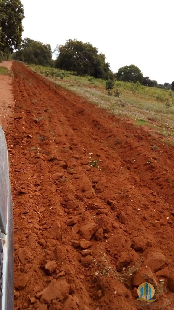 Fazenda em Brejinho de Nazaré/Tocantins — Ref 8H2U2P — Imagem 18