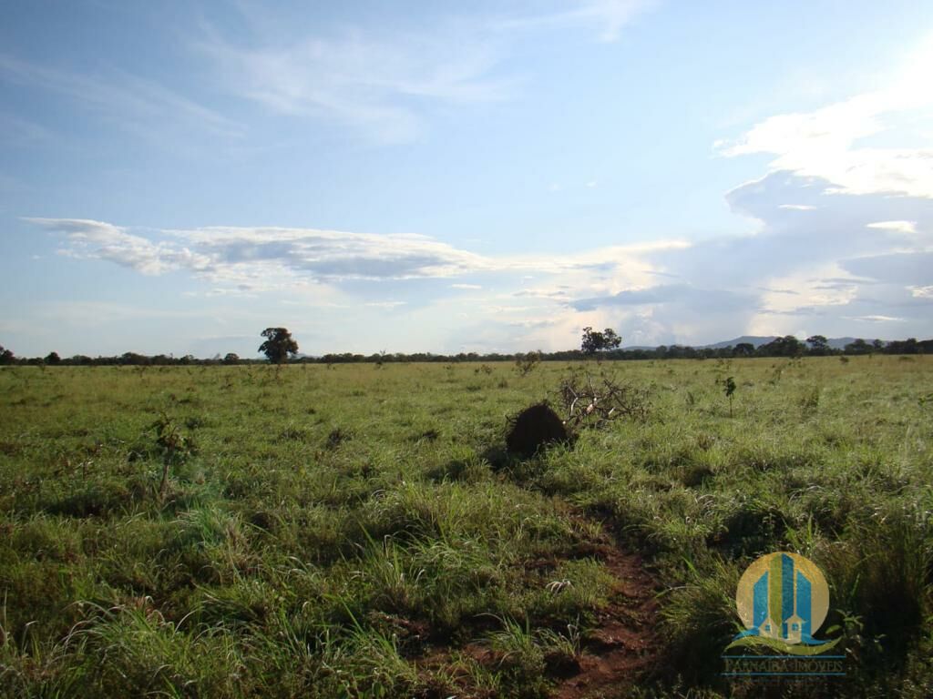 Fazenda em Brejinho de Nazaré/Tocantins — Ref 8H2U2P — Imagem 9