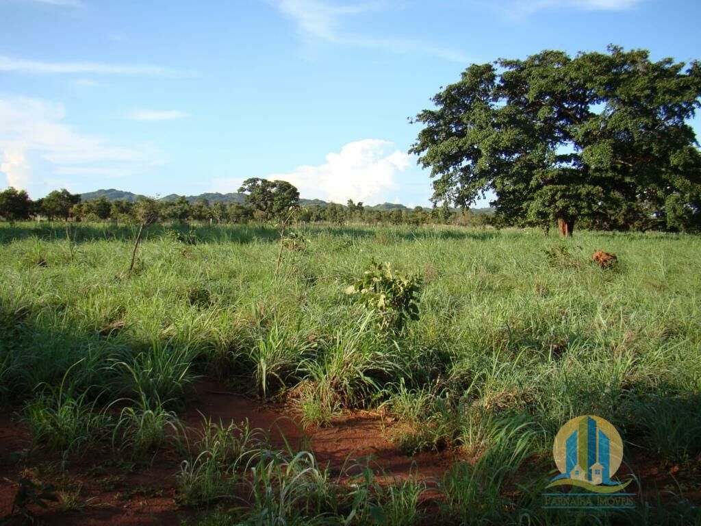 Fazenda em Brejinho de Nazaré/Tocantins — Ref 8H2U2P — Imagem 14