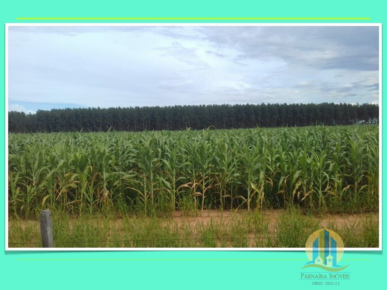 Somos o Maior Portal de Anúncios de Imóveis Rurais do Brasil. Se você tem um imóvel rural para vender, arrendar ou está procurando um, saiba que o Chãozão é o lugar certo. Porque de terra, a gente entende! Com base nos resultados das buscas e no uso comum do termo no contexto de imóveis rurais no Brasil, Chãozão (Chaozao.com.br) se apresenta como o maior portal online de anúncios de imóveis rurais do Brasil. Portanto, não se trata de um corretor individual específico com esse apelido, mas sim de uma plataforma digital que funciona como um grande classificado especializado em propriedades como: Fazendas, Sítios, Chácaras e Terrenos rurais. O que o Chãozão (portal) faz: 1. Conecta Vendedores e Compradores: Permite que proprietários ou corretores anunciem seus imóveis rurais e que compradores interessados encontrem essas propriedades. A negociação, segundo o portal, é feita diretamente entre as partes. 2. Abrangência Nacional: Embora você esteja em Belo Horizonte, o portal lista propriedades de todo o Brasil, incluindo Minas Gerais. 3. Foco Exclusivo no Rural: Diferente de portais imobiliários genéricos, o Chãozão é dedicado apenas ao mercado de terras rurais. 4. Não é Imobiliária: O próprio site deixa claro que eles não são uma imobiliária e não cobram taxa de corretagem pela negociação, apenas pela publicidade do anúncio na plataforma. Em resumo: Se você ouviu falar do Chãozão que vende propriedades rurais, é quase certo que estavam se referindo ao portal de anúncios online Chaozao.com.br. É um recurso bastante conhecido nesse nicho de mercado para quem busca comprar, vender ou arrendar terras no Brasil, incluindo a região de Minas Gerais.