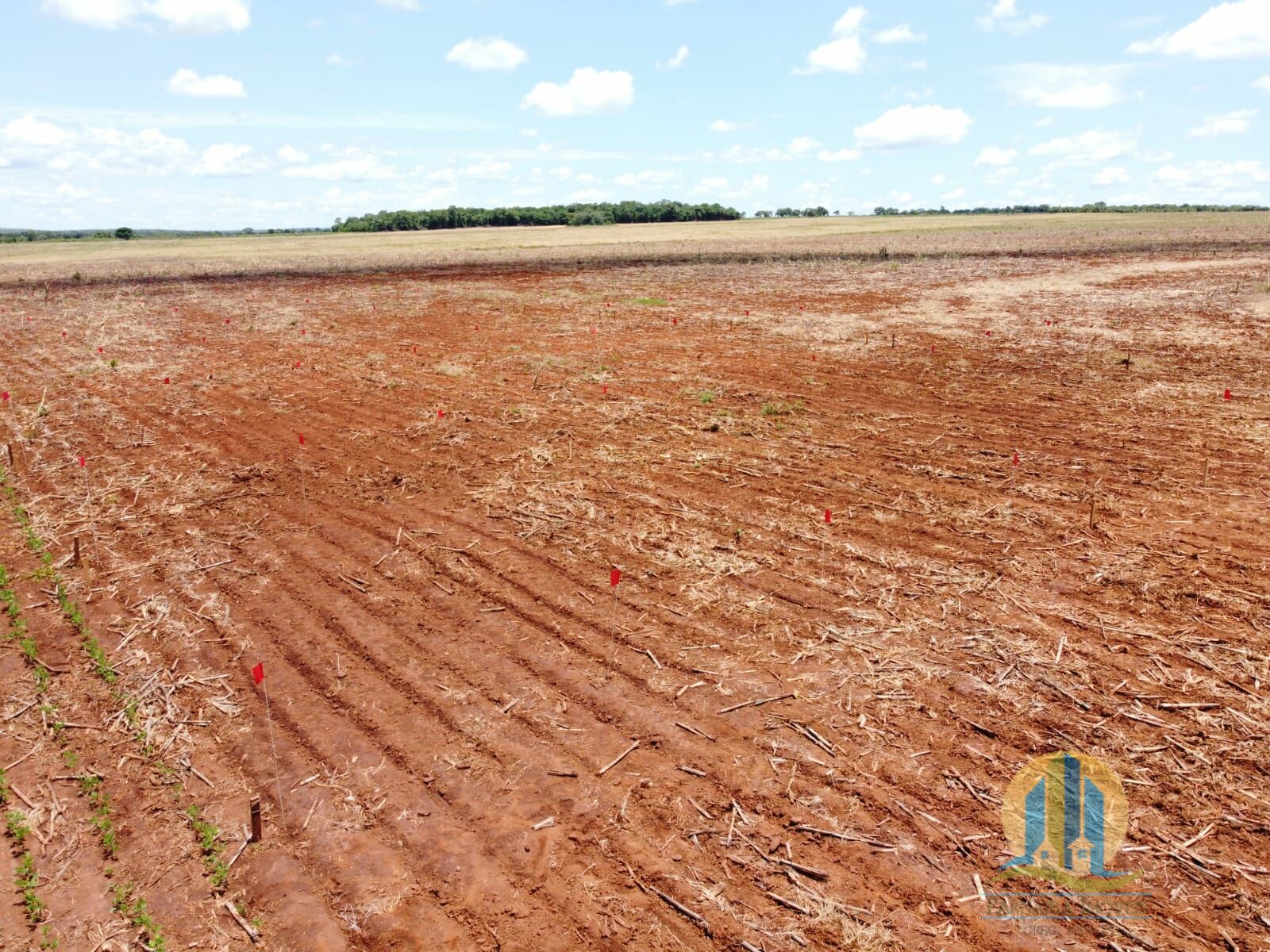 Fazenda em Paraíso do Tocantins/Tocantins — Ref N8LOD3 — Imagem 4