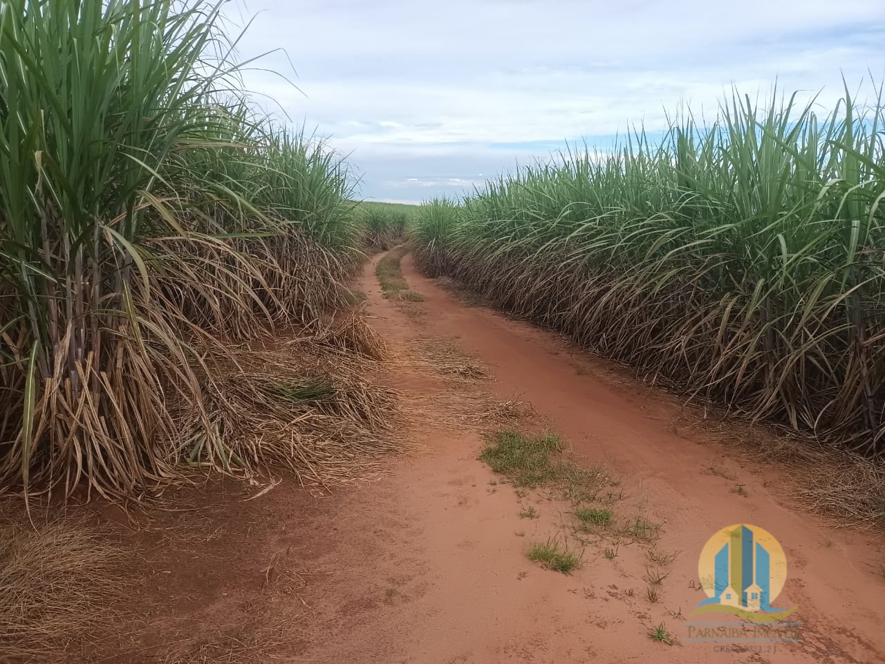 Sítio em Casa Branca/São Paulo — Ref 87ZNQZ — Imagem 2