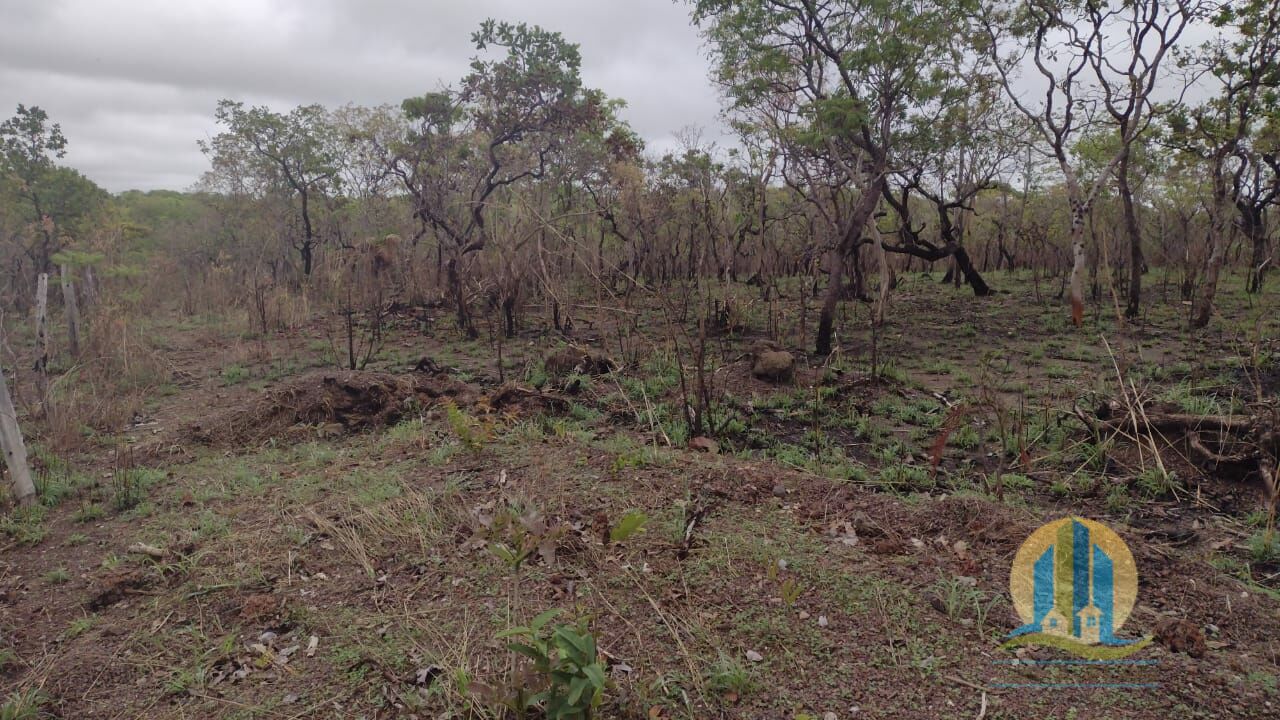 Fazenda em Lizarda/Tocantins — Ref 5ZINFX — Imagem 4