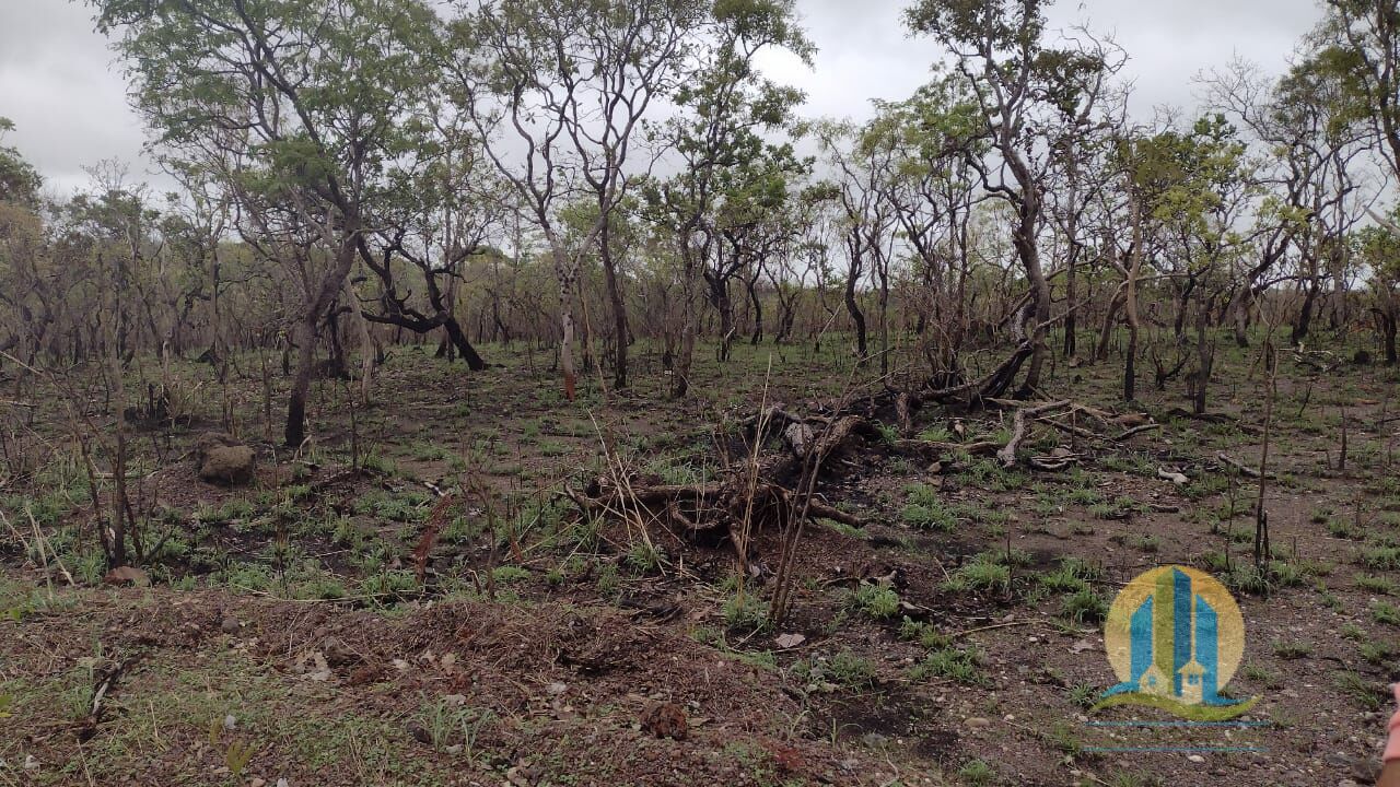 Fazenda em Lizarda/Tocantins — Ref 5ZINFX — Imagem 5