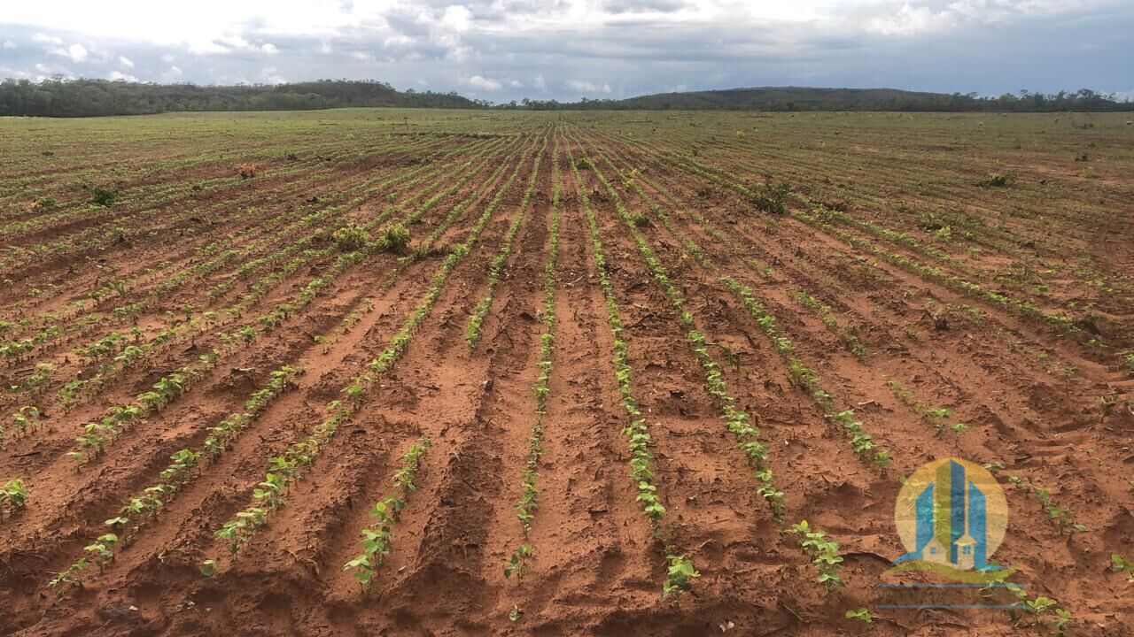 Fazenda em Rio Sono/Tocantins — Ref F9YU8C — Imagem 20