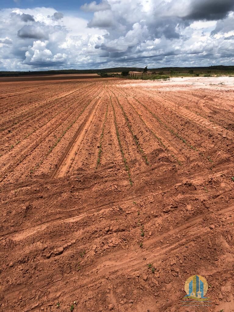 Fazenda em Rio Sono/Tocantins — Ref F9YU8C — Imagem 29