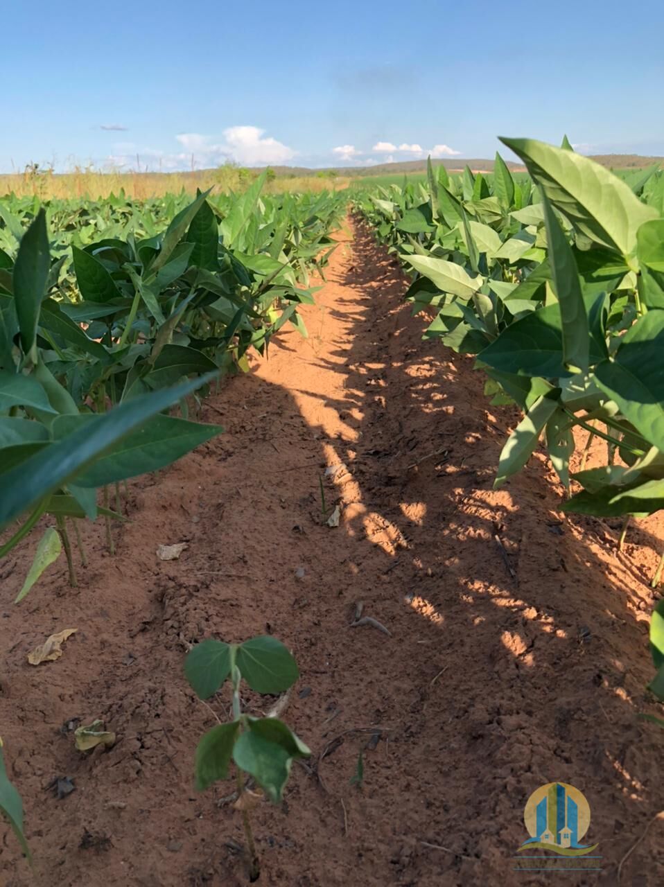 Fazenda em Rio Sono/Tocantins — Ref F9YU8C — Imagem 27