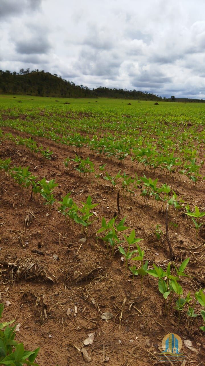 Fazenda em Rio Sono/Tocantins — Ref F9YU8C — Imagem 22