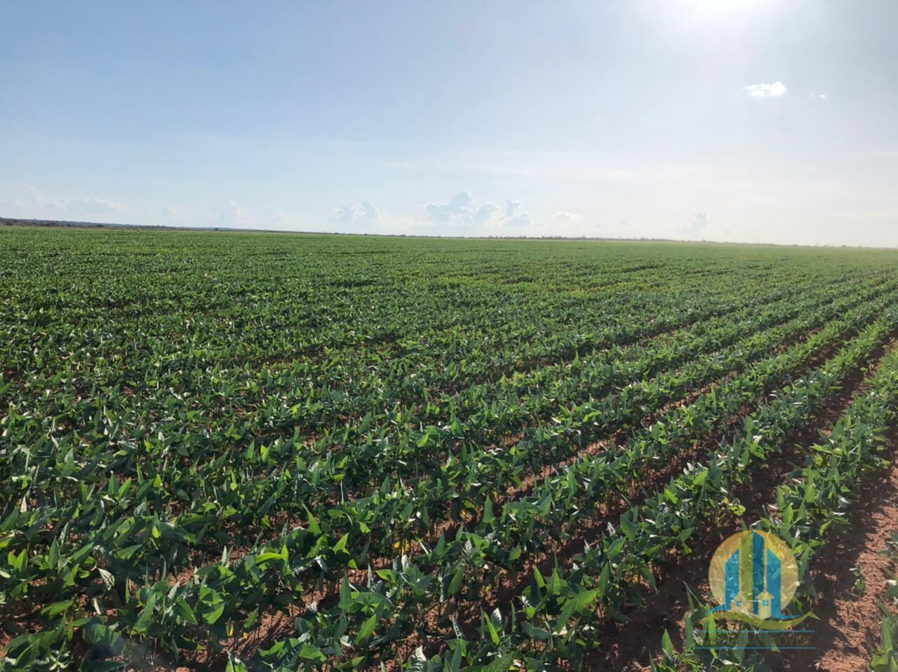 Fazenda em Rio Sono/Tocantins — Ref F9YU8C — Imagem 5