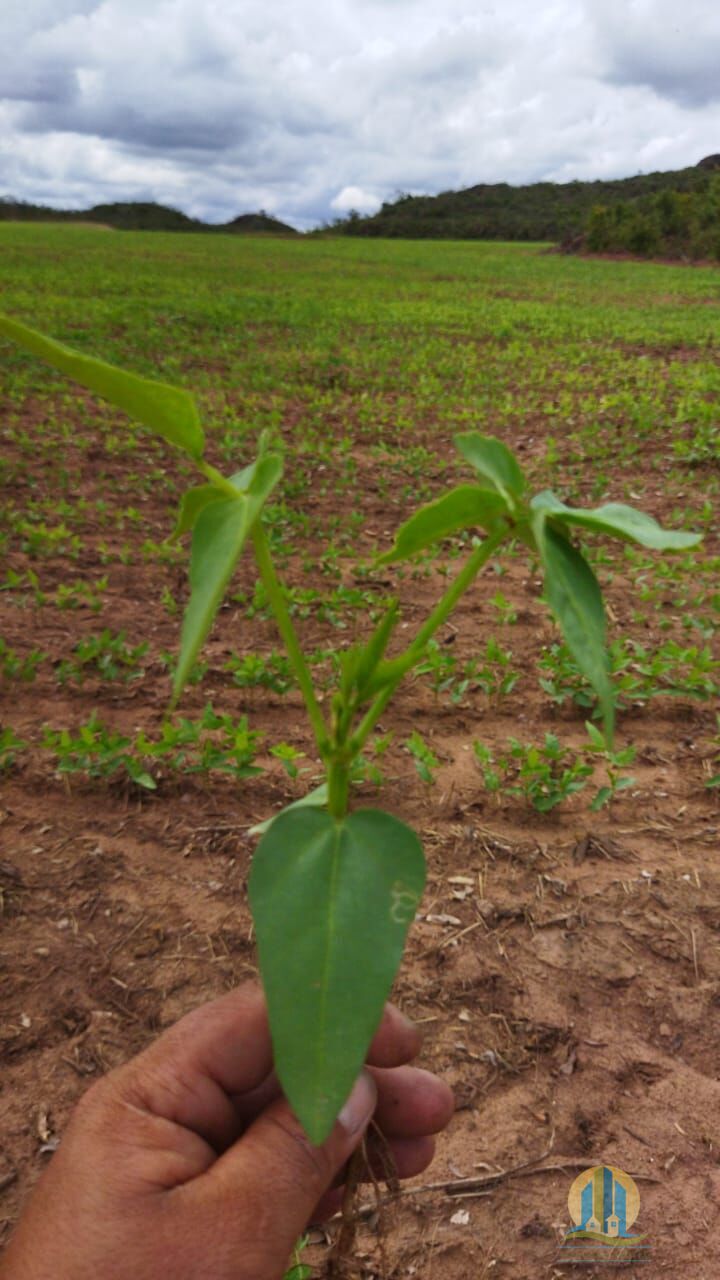 Fazenda em Rio Sono/Tocantins — Ref F9YU8C — Imagem 23