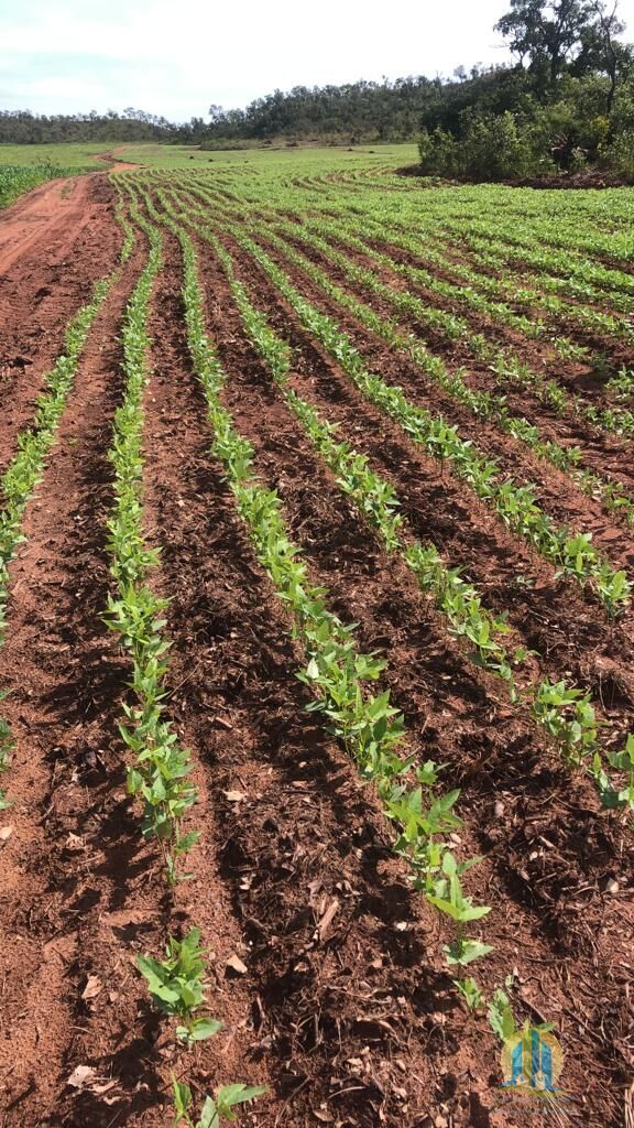 Fazenda em Rio Sono/Tocantins — Ref F9YU8C — Imagem 21