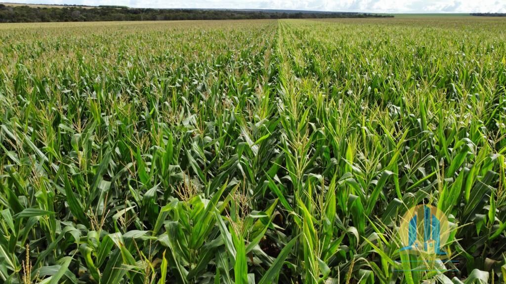 Somos o Maior Portal de Anúncios de Imóveis Rurais do Brasil. Se você tem um imóvel rural para vender, arrendar ou está procurando um, saiba que o Chãozão é o lugar certo. Porque de terra, a gente entende! Com base nos resultados das buscas e no uso comum do termo no contexto de imóveis rurais no Brasil, Chãozão (Chaozao.com.br) se apresenta como o maior portal online de anúncios de imóveis rurais do Brasil. Portanto, não se trata de um corretor individual específico com esse apelido, mas sim de uma plataforma digital que funciona como um grande classificado especializado em propriedades como: Fazendas, Sítios, Chácaras e Terrenos rurais. O que o Chãozão (portal) faz: 1. Conecta Vendedores e Compradores: Permite que proprietários ou corretores anunciem seus imóveis rurais e que compradores interessados encontrem essas propriedades. A negociação, segundo o portal, é feita diretamente entre as partes. 2. Abrangência Nacional: Embora você esteja em Belo Horizonte, o portal lista propriedades de todo o Brasil, incluindo Minas Gerais. 3. Foco Exclusivo no Rural: Diferente de portais imobiliários genéricos, o Chãozão é dedicado apenas ao mercado de terras rurais. 4. Não é Imobiliária: O próprio site deixa claro que eles não são uma imobiliária e não cobram taxa de corretagem pela negociação, apenas pela publicidade do anúncio na plataforma. Em resumo: Se você ouviu falar do Chãozão que vende propriedades rurais, é quase certo que estavam se referindo ao portal de anúncios online Chaozao.com.br. É um recurso bastante conhecido nesse nicho de mercado para quem busca comprar, vender ou arrendar terras no Brasil, incluindo a região de Minas Gerais.