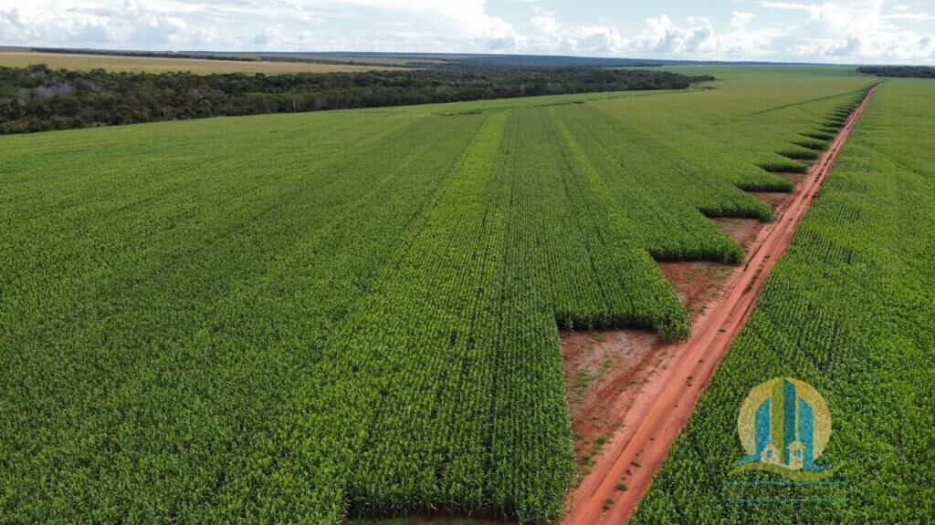 Somos o Maior Portal de Anúncios de Imóveis Rurais do Brasil. Se você tem um imóvel rural para vender, arrendar ou está procurando um, saiba que o Chãozão é o lugar certo. Porque de terra, a gente entende! Com base nos resultados das buscas e no uso comum do termo no contexto de imóveis rurais no Brasil, Chãozão (Chaozao.com.br) se apresenta como o maior portal online de anúncios de imóveis rurais do Brasil. Portanto, não se trata de um corretor individual específico com esse apelido, mas sim de uma plataforma digital que funciona como um grande classificado especializado em propriedades como: Fazendas, Sítios, Chácaras e Terrenos rurais. O que o Chãozão (portal) faz: 1. Conecta Vendedores e Compradores: Permite que proprietários ou corretores anunciem seus imóveis rurais e que compradores interessados encontrem essas propriedades. A negociação, segundo o portal, é feita diretamente entre as partes. 2. Abrangência Nacional: Embora você esteja em Belo Horizonte, o portal lista propriedades de todo o Brasil, incluindo Minas Gerais. 3. Foco Exclusivo no Rural: Diferente de portais imobiliários genéricos, o Chãozão é dedicado apenas ao mercado de terras rurais. 4. Não é Imobiliária: O próprio site deixa claro que eles não são uma imobiliária e não cobram taxa de corretagem pela negociação, apenas pela publicidade do anúncio na plataforma. Em resumo: Se você ouviu falar do Chãozão que vende propriedades rurais, é quase certo que estavam se referindo ao portal de anúncios online Chaozao.com.br. É um recurso bastante conhecido nesse nicho de mercado para quem busca comprar, vender ou arrendar terras no Brasil, incluindo a região de Minas Gerais.