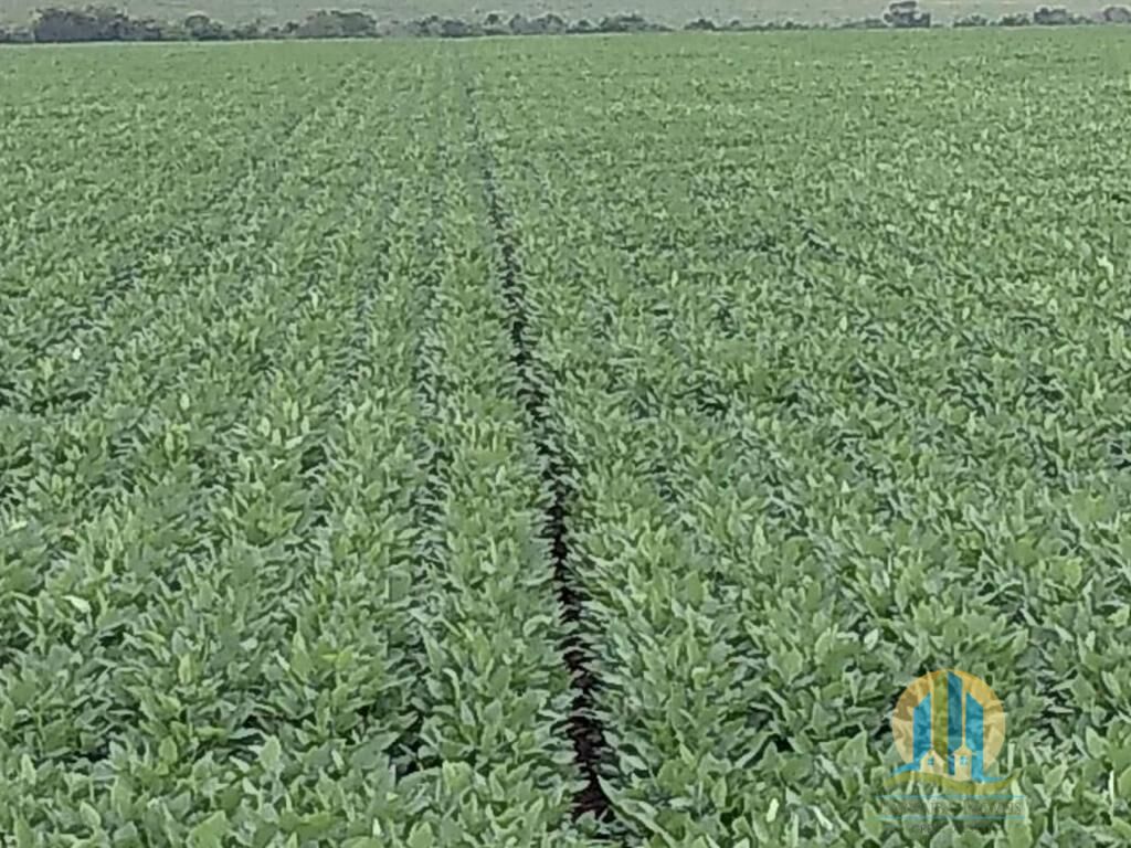 Somos o Maior Portal de Anúncios de Imóveis Rurais do Brasil. Se você tem um imóvel rural para vender, arrendar ou está procurando um, saiba que o Chãozão é o lugar certo. Porque de terra, a gente entende! Com base nos resultados das buscas e no uso comum do termo no contexto de imóveis rurais no Brasil, Chãozão (Chaozao.com.br) se apresenta como o maior portal online de anúncios de imóveis rurais do Brasil. Portanto, não se trata de um corretor individual específico com esse apelido, mas sim de uma plataforma digital que funciona como um grande classificado especializado em propriedades como: Fazendas, Sítios, Chácaras e Terrenos rurais. O que o Chãozão (portal) faz: 1. Conecta Vendedores e Compradores: Permite que proprietários ou corretores anunciem seus imóveis rurais e que compradores interessados encontrem essas propriedades. A negociação, segundo o portal, é feita diretamente entre as partes. 2. Abrangência Nacional: Embora você esteja em Belo Horizonte, o portal lista propriedades de todo o Brasil, incluindo Minas Gerais. 3. Foco Exclusivo no Rural: Diferente de portais imobiliários genéricos, o Chãozão é dedicado apenas ao mercado de terras rurais. 4. Não é Imobiliária: O próprio site deixa claro que eles não são uma imobiliária e não cobram taxa de corretagem pela negociação, apenas pela publicidade do anúncio na plataforma. Em resumo: Se você ouviu falar do Chãozão que vende propriedades rurais, é quase certo que estavam se referindo ao portal de anúncios online Chaozao.com.br. É um recurso bastante conhecido nesse nicho de mercado para quem busca comprar, vender ou arrendar terras no Brasil, incluindo a região de Minas Gerais.