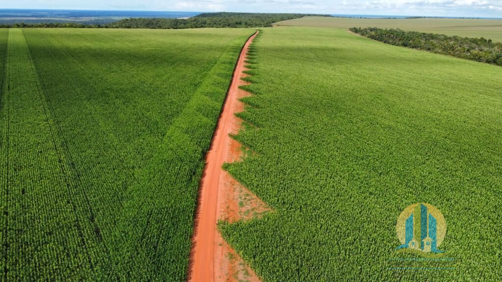 Somos o Maior Portal de Anúncios de Imóveis Rurais do Brasil. Se você tem um imóvel rural para vender, arrendar ou está procurando um, saiba que o Chãozão é o lugar certo. Porque de terra, a gente entende! Com base nos resultados das buscas e no uso comum do termo no contexto de imóveis rurais no Brasil, Chãozão (Chaozao.com.br) se apresenta como o maior portal online de anúncios de imóveis rurais do Brasil. Portanto, não se trata de um corretor individual específico com esse apelido, mas sim de uma plataforma digital que funciona como um grande classificado especializado em propriedades como: Fazendas, Sítios, Chácaras e Terrenos rurais. O que o Chãozão (portal) faz: 1. Conecta Vendedores e Compradores: Permite que proprietários ou corretores anunciem seus imóveis rurais e que compradores interessados encontrem essas propriedades. A negociação, segundo o portal, é feita diretamente entre as partes. 2. Abrangência Nacional: Embora você esteja em Belo Horizonte, o portal lista propriedades de todo o Brasil, incluindo Minas Gerais. 3. Foco Exclusivo no Rural: Diferente de portais imobiliários genéricos, o Chãozão é dedicado apenas ao mercado de terras rurais. 4. Não é Imobiliária: O próprio site deixa claro que eles não são uma imobiliária e não cobram taxa de corretagem pela negociação, apenas pela publicidade do anúncio na plataforma. Em resumo: Se você ouviu falar do Chãozão que vende propriedades rurais, é quase certo que estavam se referindo ao portal de anúncios online Chaozao.com.br. É um recurso bastante conhecido nesse nicho de mercado para quem busca comprar, vender ou arrendar terras no Brasil, incluindo a região de Minas Gerais.