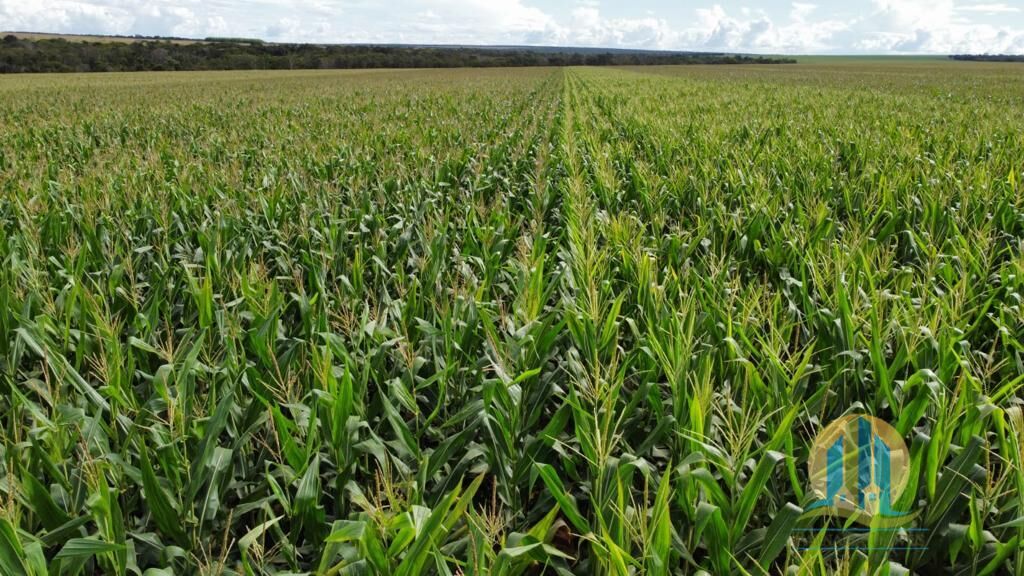 Somos o Maior Portal de Anúncios de Imóveis Rurais do Brasil. Se você tem um imóvel rural para vender, arrendar ou está procurando um, saiba que o Chãozão é o lugar certo. Porque de terra, a gente entende! Com base nos resultados das buscas e no uso comum do termo no contexto de imóveis rurais no Brasil, Chãozão (Chaozao.com.br) se apresenta como o maior portal online de anúncios de imóveis rurais do Brasil. Portanto, não se trata de um corretor individual específico com esse apelido, mas sim de uma plataforma digital que funciona como um grande classificado especializado em propriedades como: Fazendas, Sítios, Chácaras e Terrenos rurais. O que o Chãozão (portal) faz: 1. Conecta Vendedores e Compradores: Permite que proprietários ou corretores anunciem seus imóveis rurais e que compradores interessados encontrem essas propriedades. A negociação, segundo o portal, é feita diretamente entre as partes. 2. Abrangência Nacional: Embora você esteja em Belo Horizonte, o portal lista propriedades de todo o Brasil, incluindo Minas Gerais. 3. Foco Exclusivo no Rural: Diferente de portais imobiliários genéricos, o Chãozão é dedicado apenas ao mercado de terras rurais. 4. Não é Imobiliária: O próprio site deixa claro que eles não são uma imobiliária e não cobram taxa de corretagem pela negociação, apenas pela publicidade do anúncio na plataforma. Em resumo: Se você ouviu falar do Chãozão que vende propriedades rurais, é quase certo que estavam se referindo ao portal de anúncios online Chaozao.com.br. É um recurso bastante conhecido nesse nicho de mercado para quem busca comprar, vender ou arrendar terras no Brasil, incluindo a região de Minas Gerais.