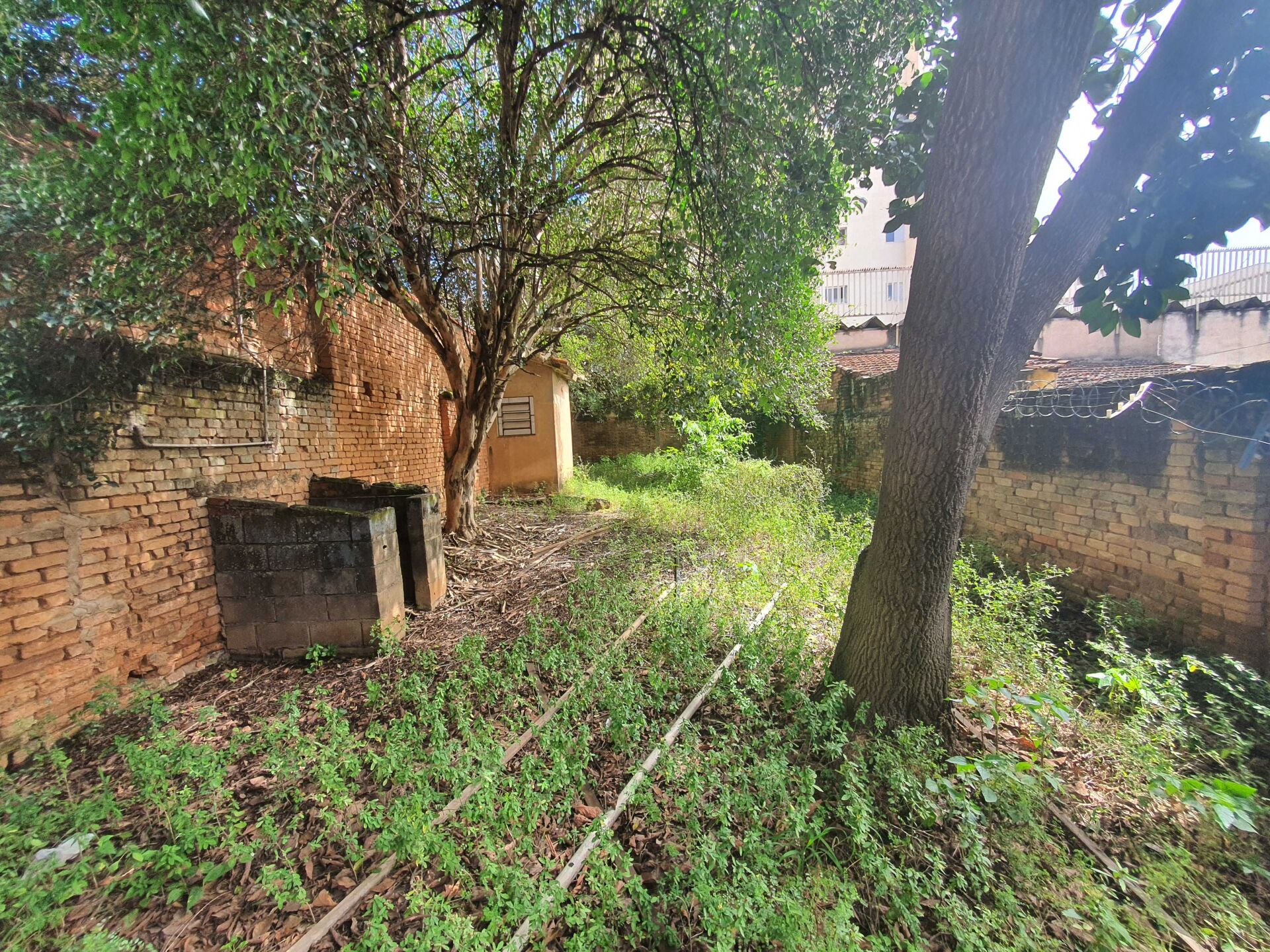 Terreno, 237 m² - Foto 5