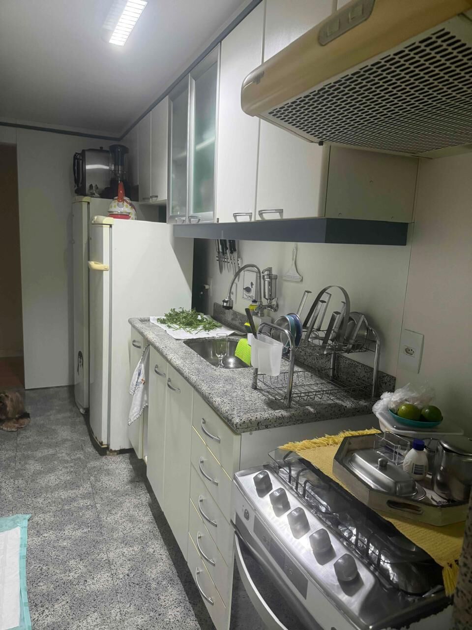 Apartamento à venda com 2 quartos, 65m² - Foto 20