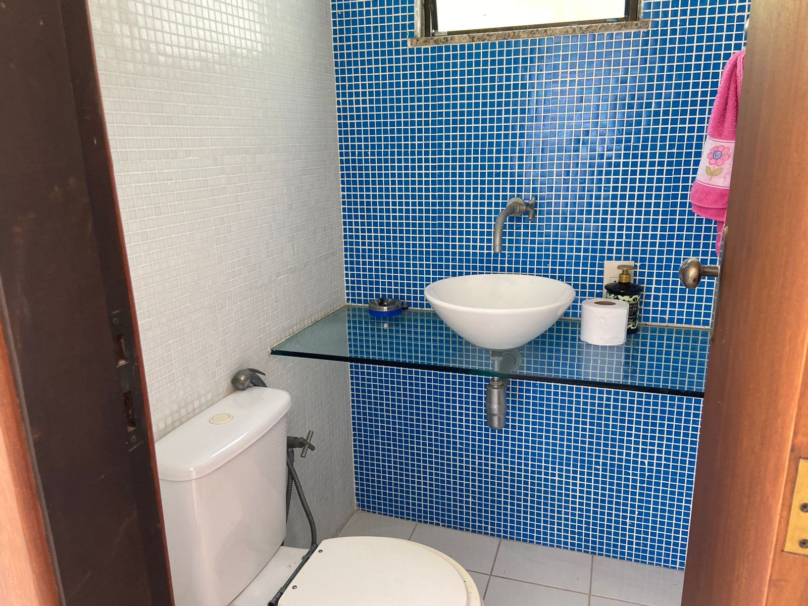 Casa, 6 quartos, 450 m² - Foto 14