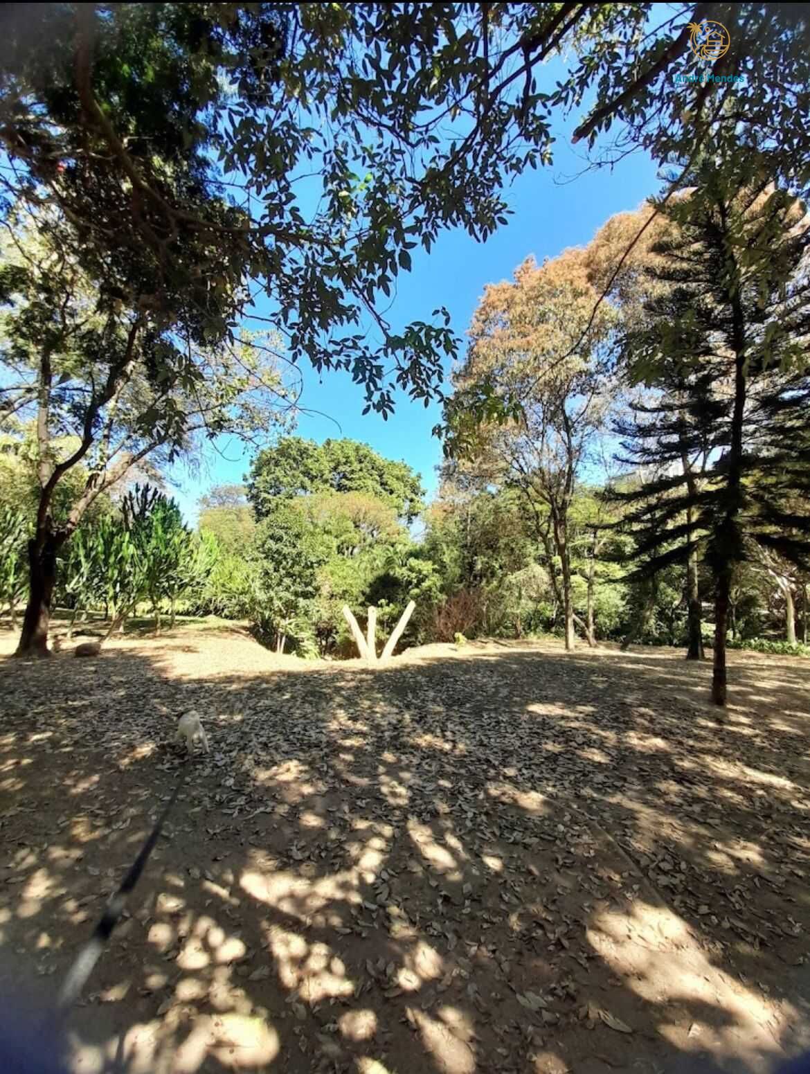 Casa, 3 quartos, 270 m² - Foto 25