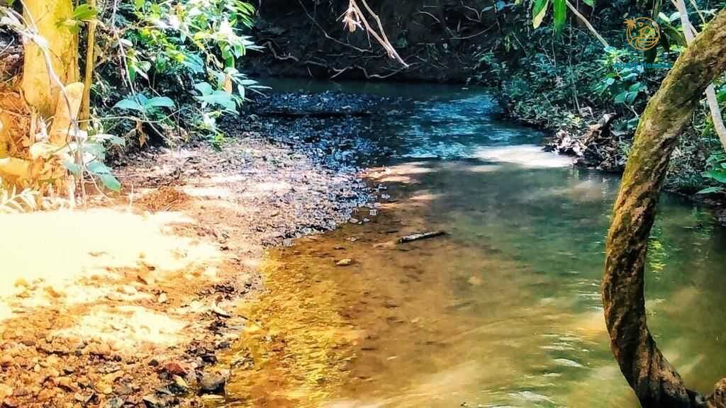 Terreno, 1000 m² - Foto 6