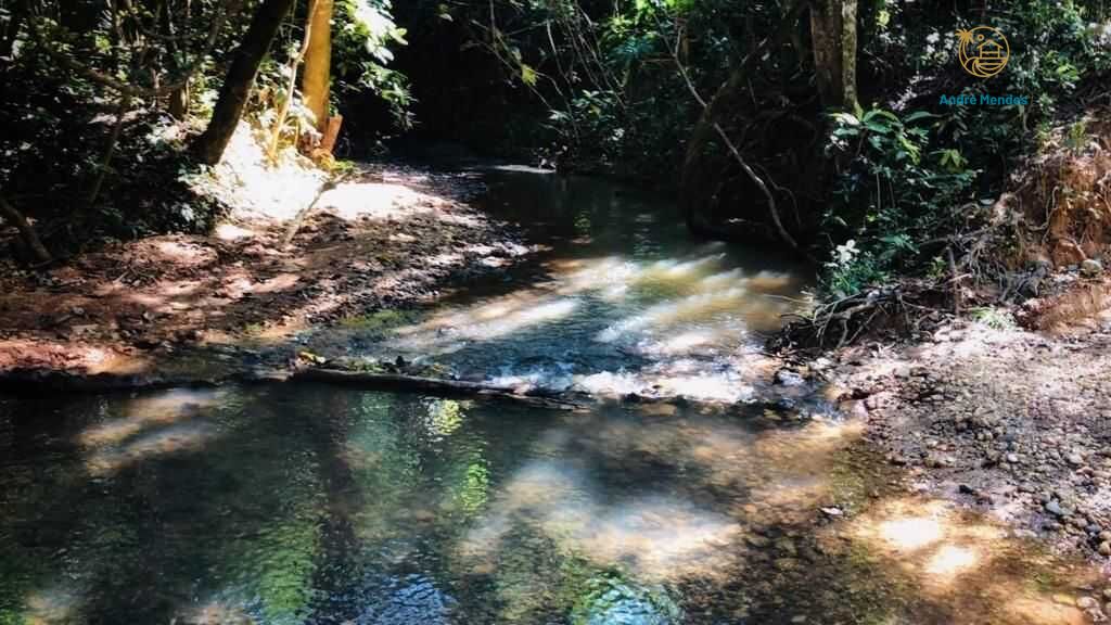 Terreno, 1000 m² - Foto 1