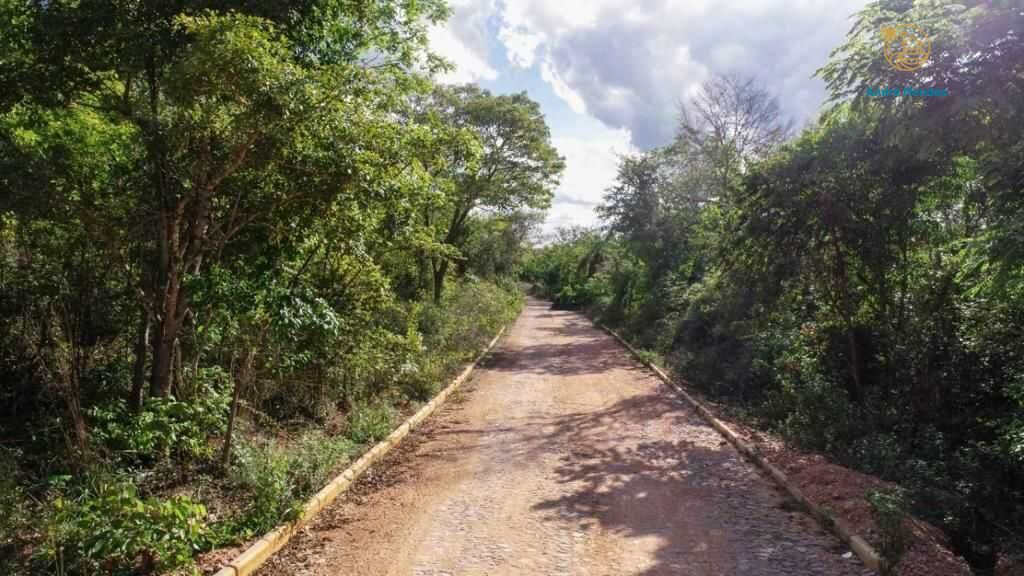 Terreno, 1000 m² - Foto 3