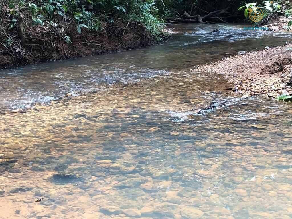 Terreno, 1000 m² - Foto 4