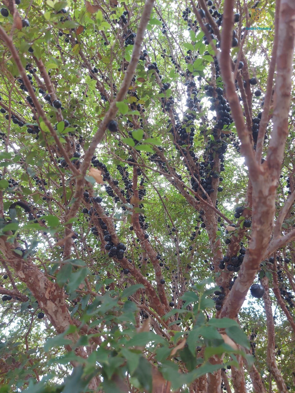 Hotel, 27 quartos, 3000 m² - Foto 17