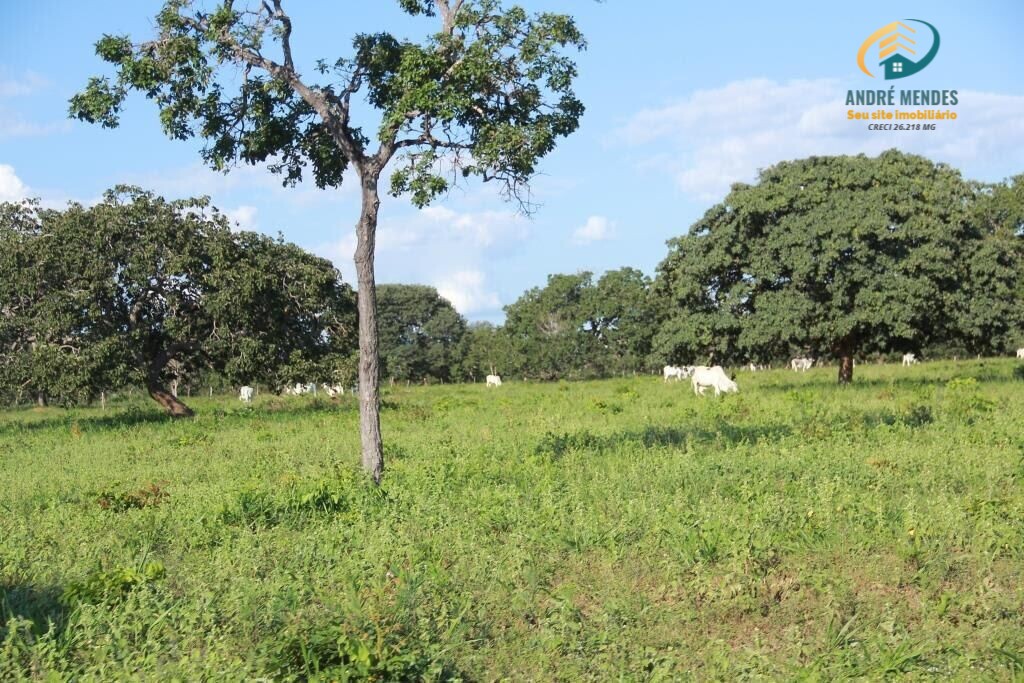 Fazenda à venda, 10470000m² - Foto 8