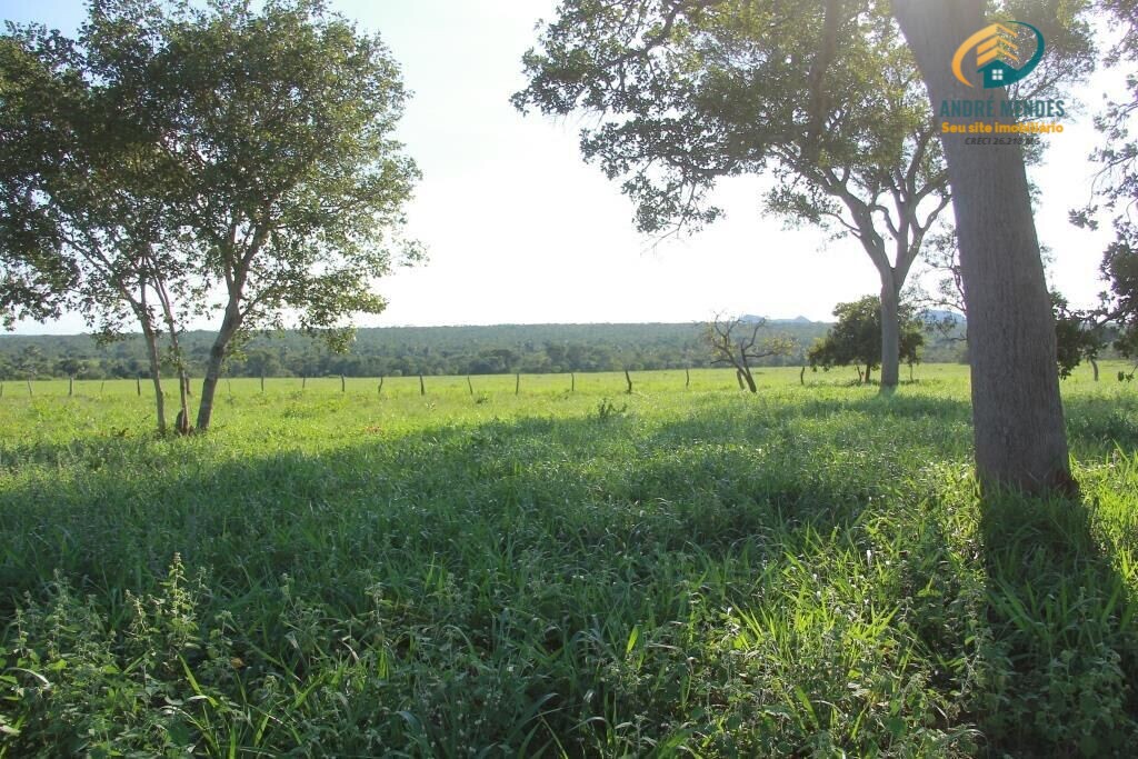 Fazenda à venda, 10470000m² - Foto 22