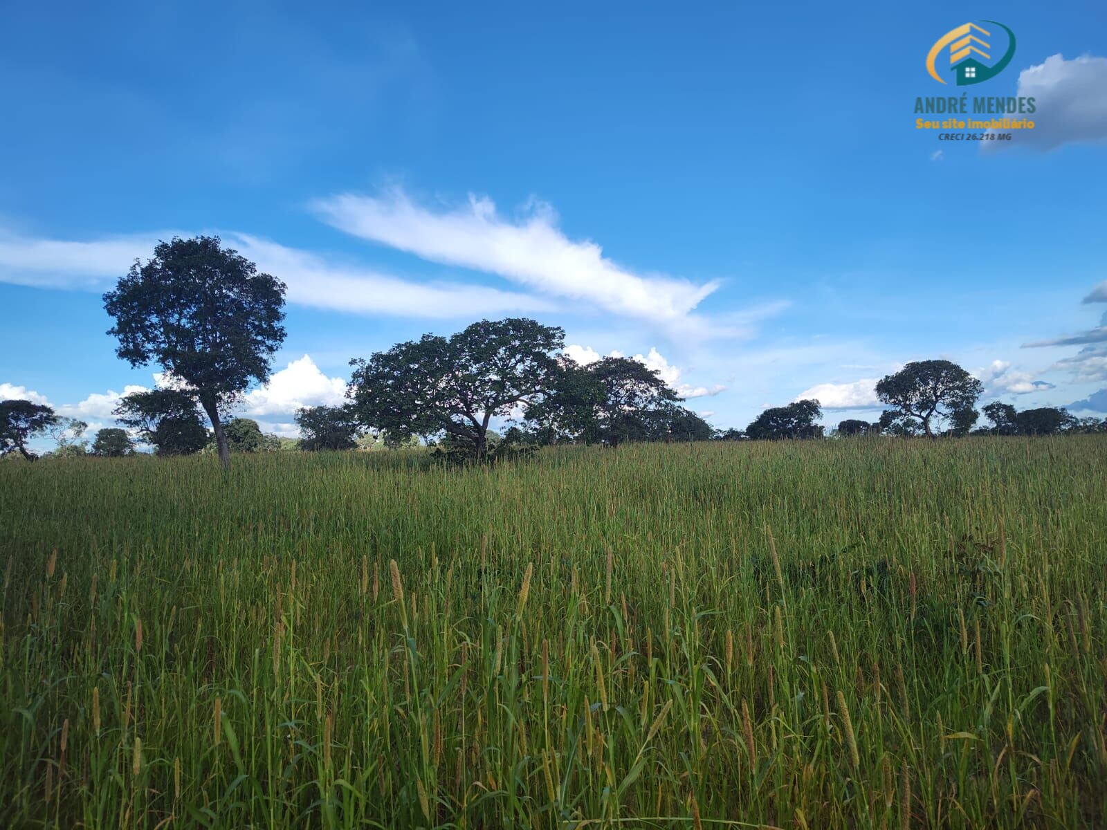 Fazenda à venda, 10470000m² - Foto 17