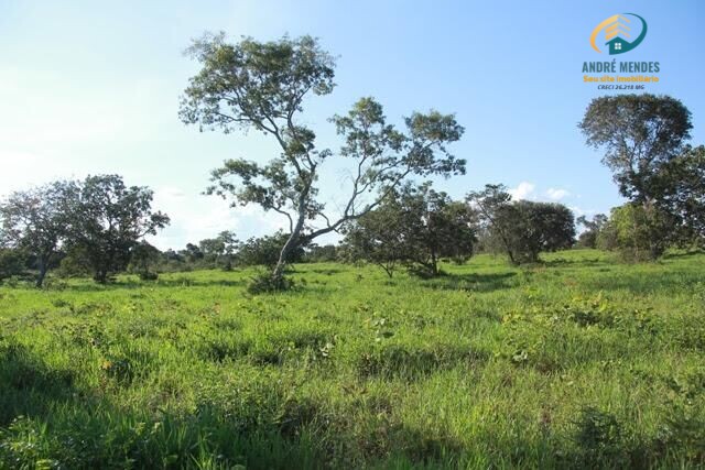 Fazenda à venda, 10470000m² - Foto 10