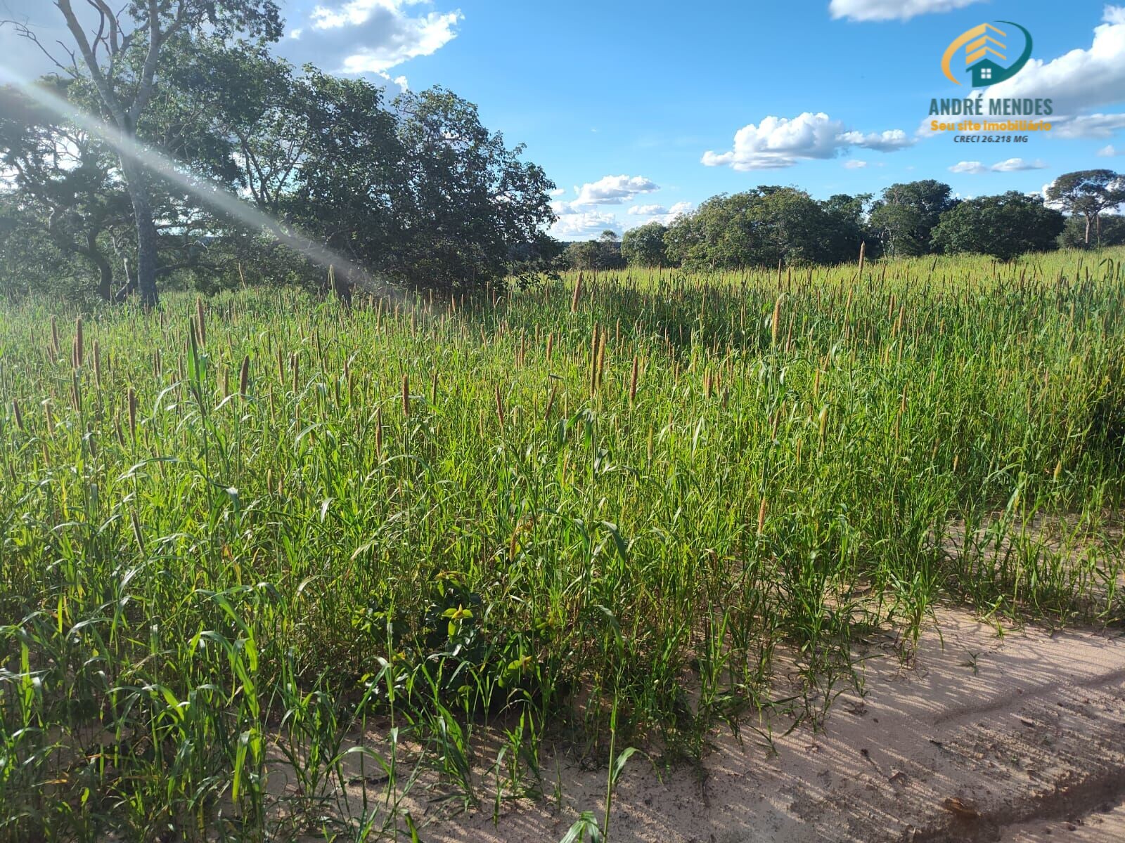 Fazenda à venda, 10470000m² - Foto 14