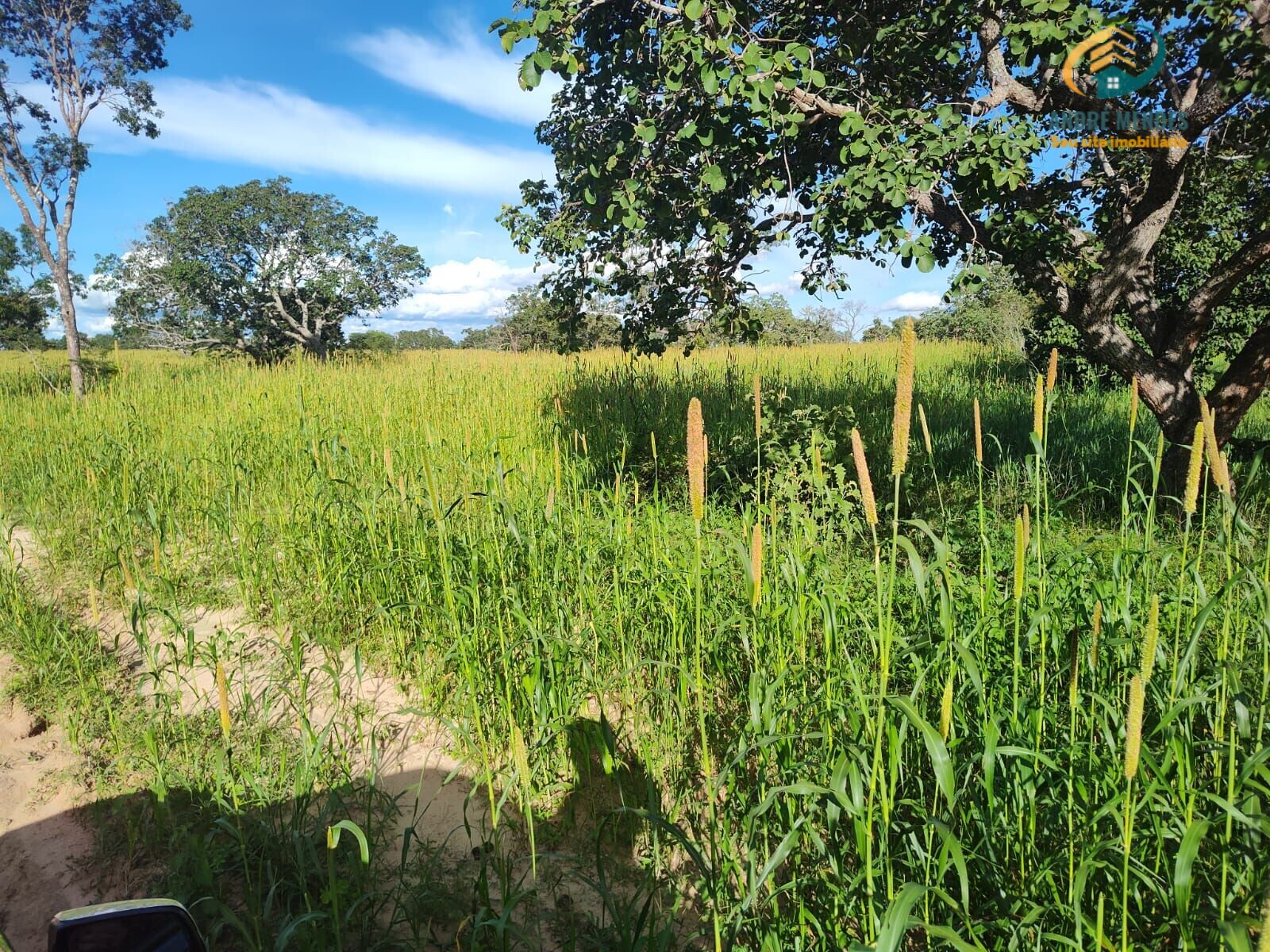 Fazenda à venda, 10470000m² - Foto 11