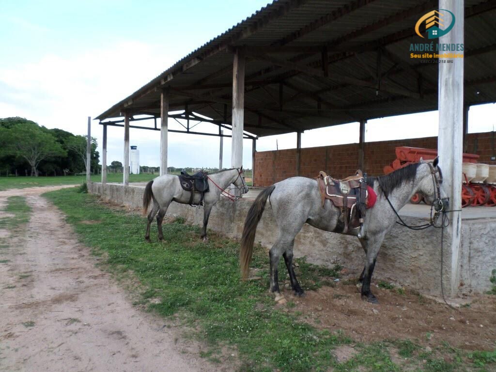 Fazenda à venda, 10470000m² - Foto 3