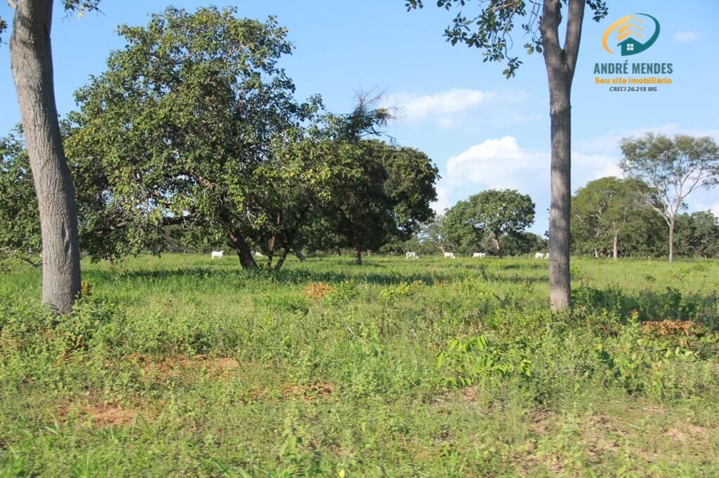 Fazenda à venda, 10470000m² - Foto 13