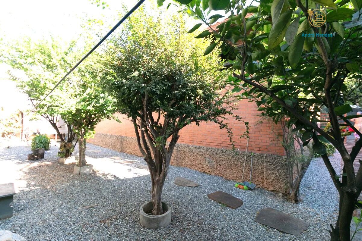 Casa, 5 quartos, 555 m² - Foto 4