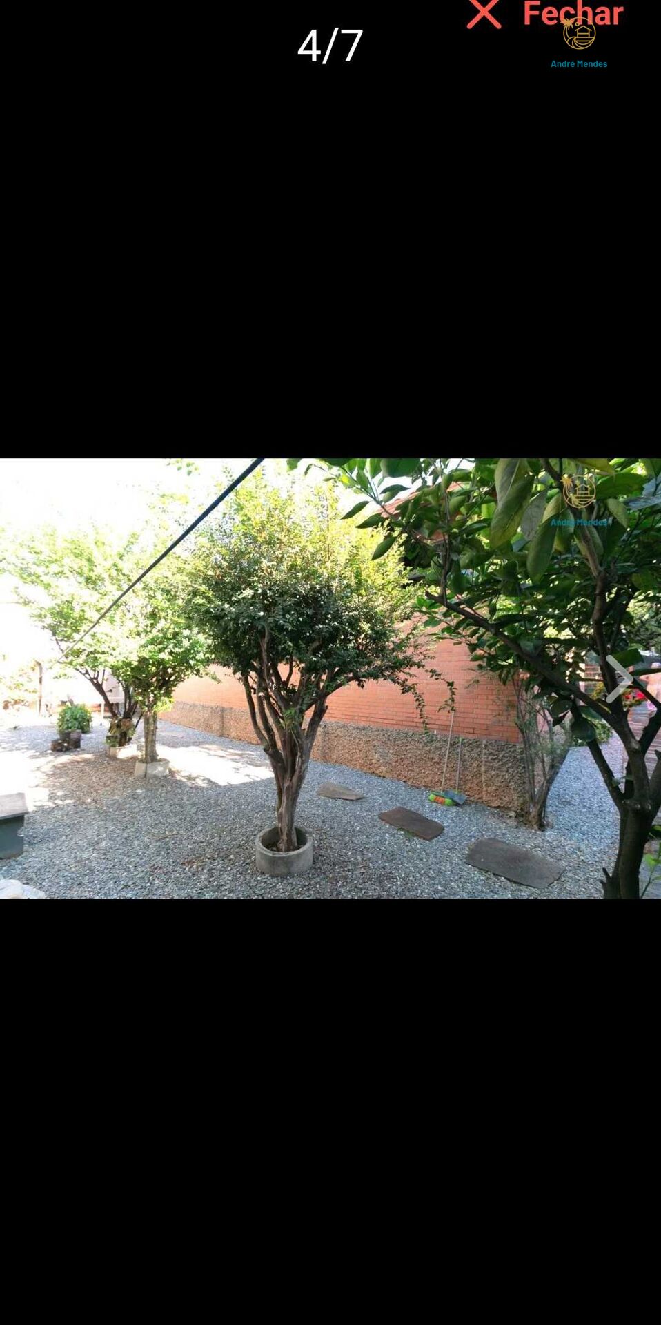 Casa, 5 quartos, 555 m² - Foto 8