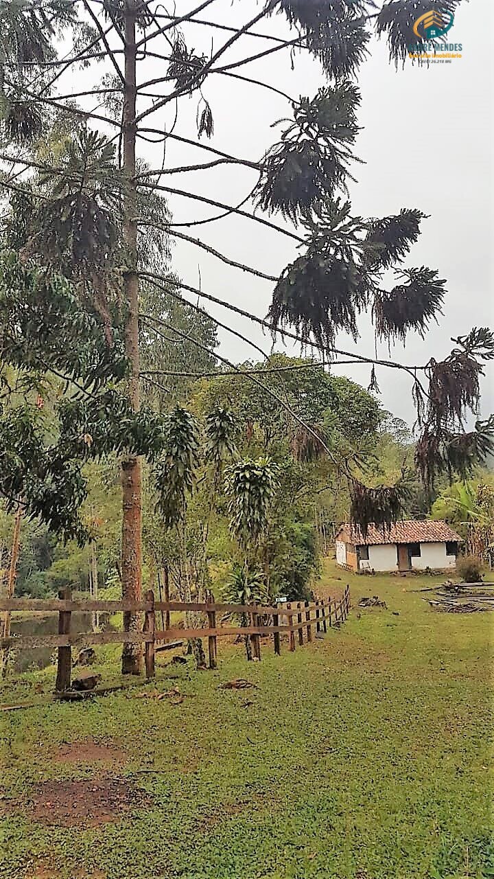 Fazenda à venda com 3 quartos, 1040000m² - Foto 1