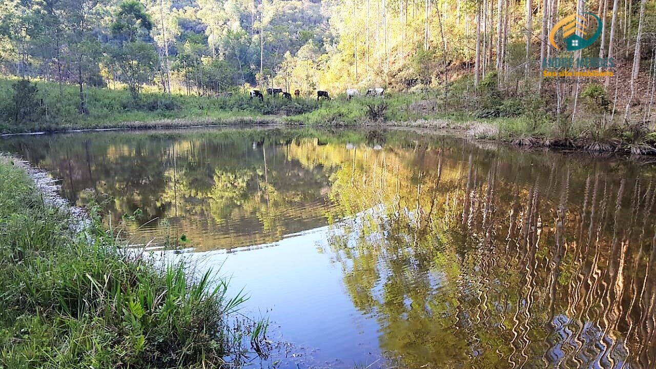 Fazenda à venda com 3 quartos, 1040000m² - Foto 3