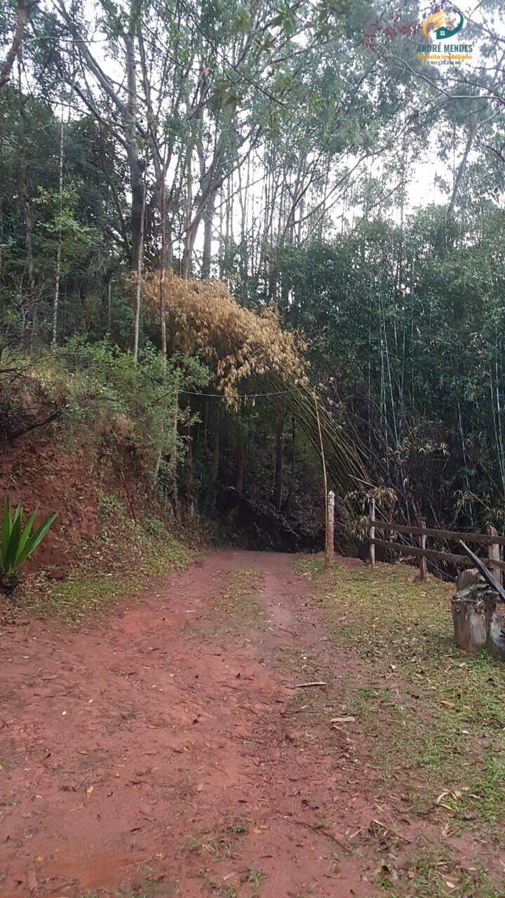 Fazenda à venda com 3 quartos, 1040000m² - Foto 12