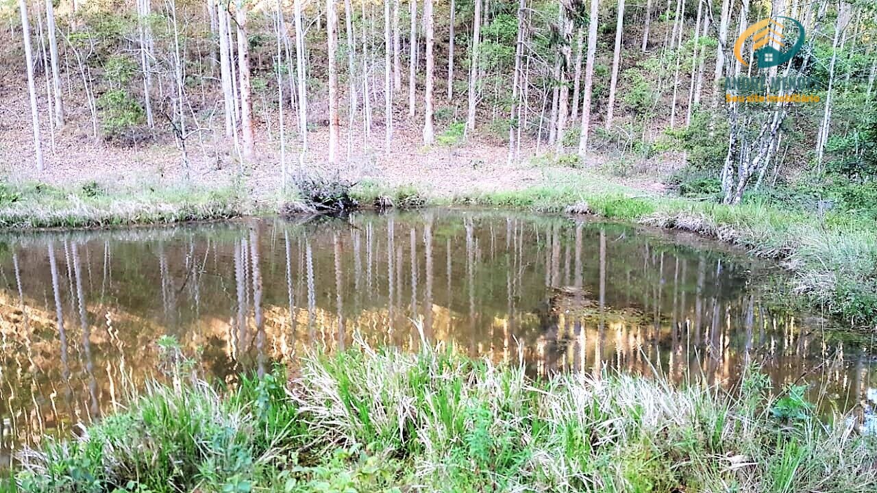 Fazenda à venda com 3 quartos, 1040000m² - Foto 4