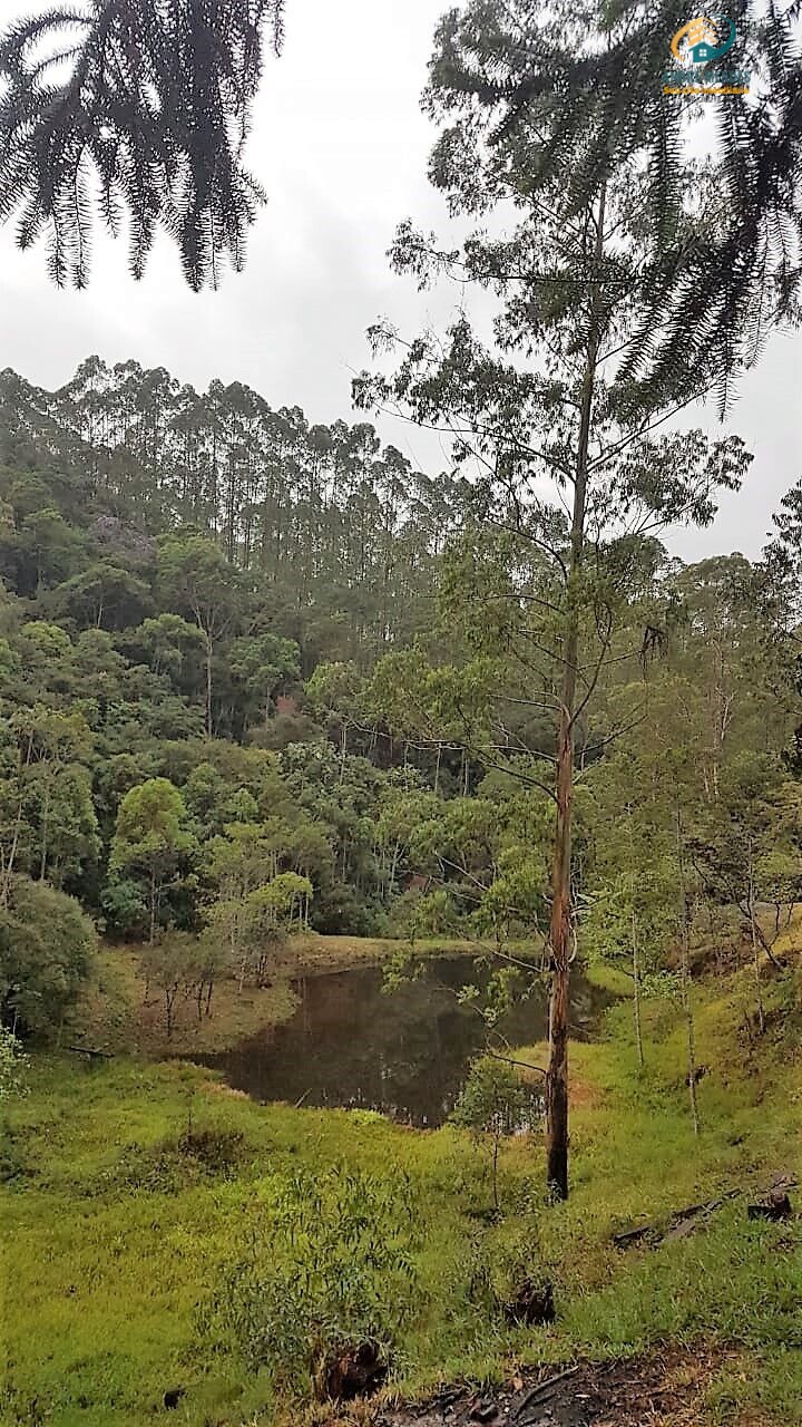 Fazenda à venda com 3 quartos, 1040000m² - Foto 8