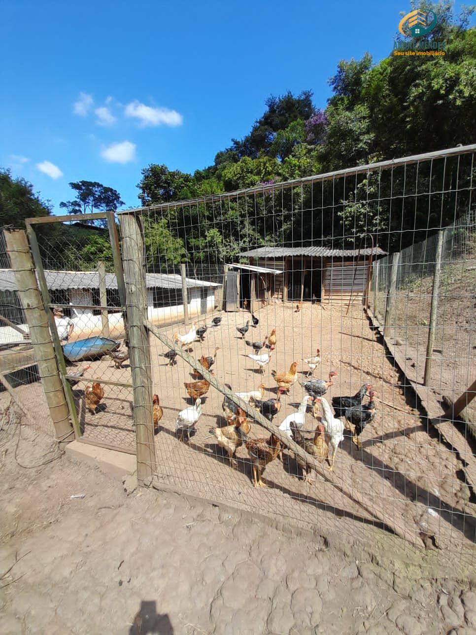 Fazenda à venda, 1500000m² - Foto 10