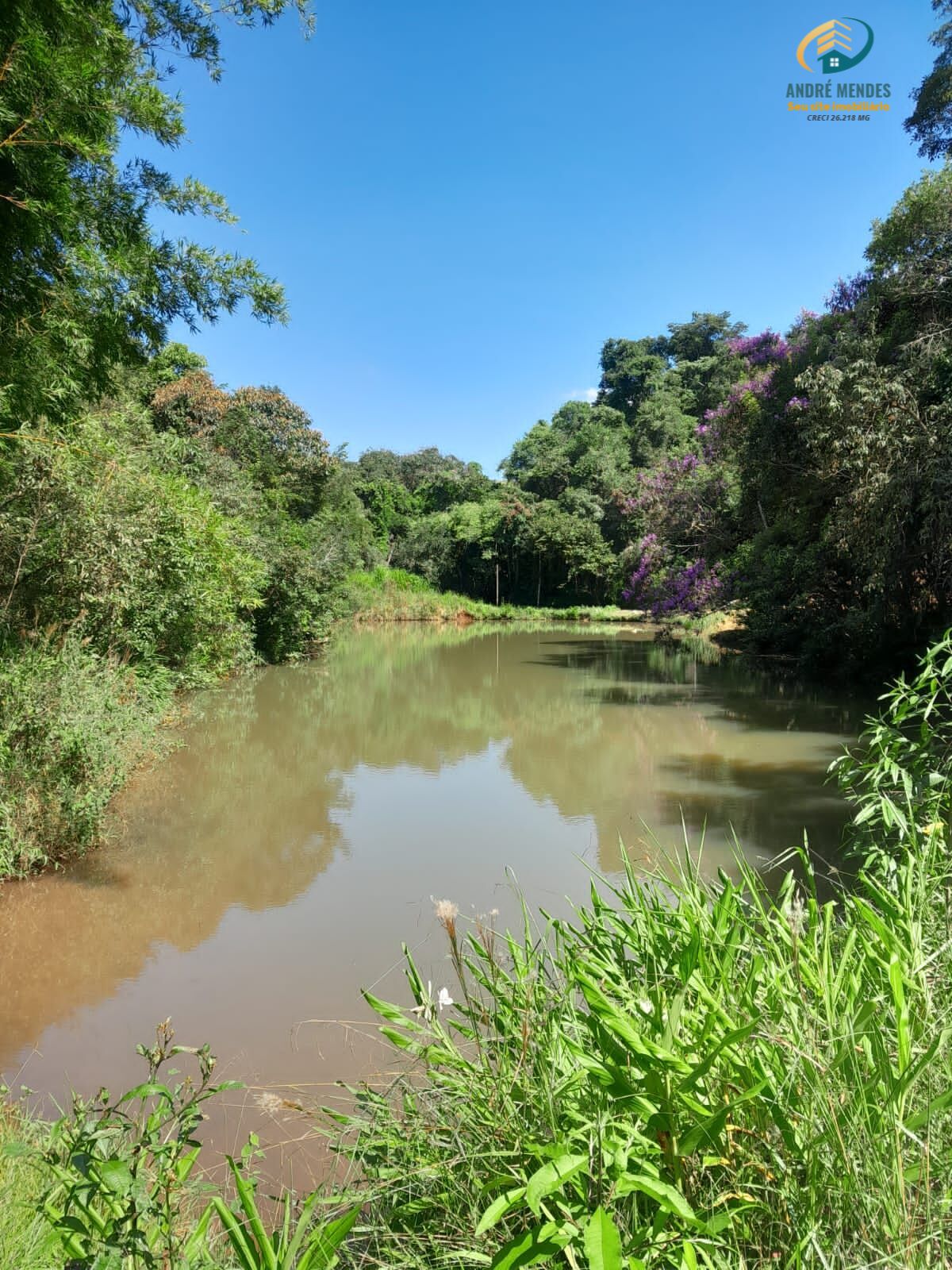 Fazenda à venda, 1500000m² - Foto 1