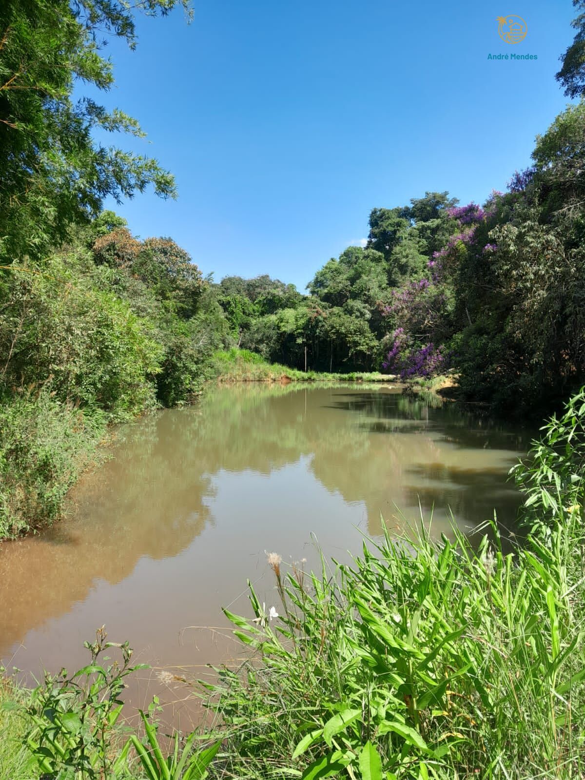 Fazenda a Venda de 150 hectares, R$ 3,5 milhões em Queluzito -MG