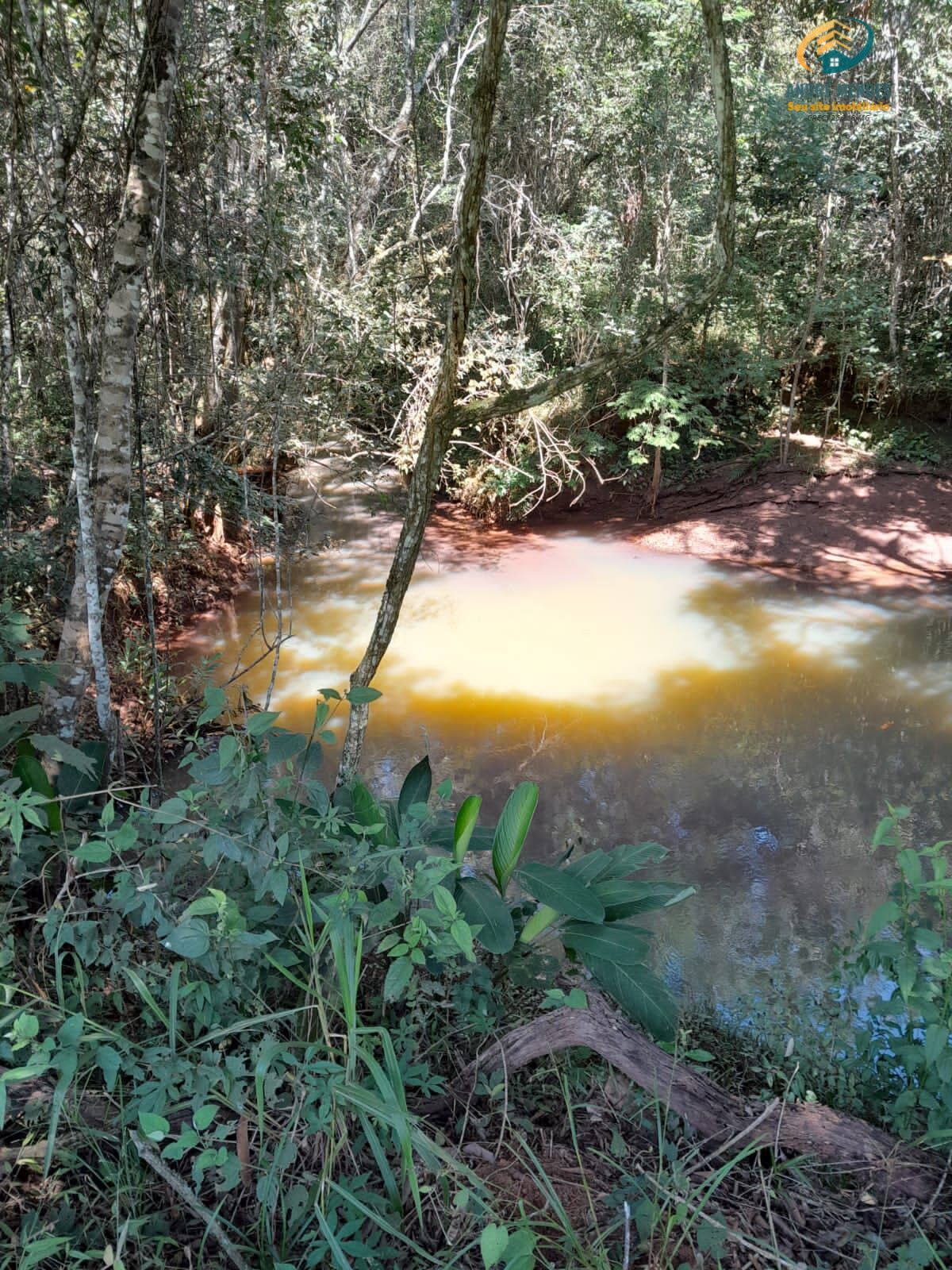 Fazenda à venda, 1500000m² - Foto 4